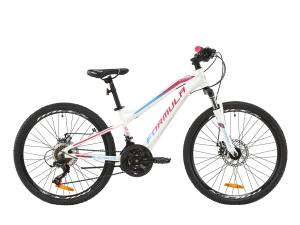 Велосипед AL 24" Formula BLACKWOOD 1.0 AM DD 2020 (біло-фіолетовий з блакитним)